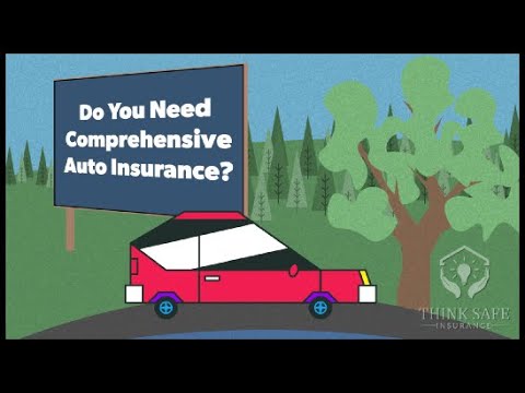 What Is Comprehensive Coverage? Auto Insurance Guide for Florida Drivers | Get a Quote!