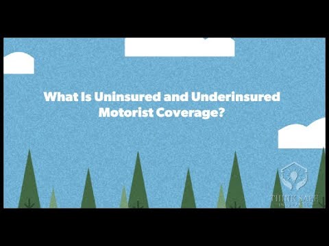 Why Uninsured Motorist Coverage Matters | Florida Auto Insurance Guide & Get a Quote!