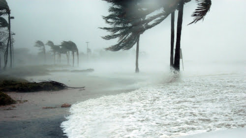 strong wind at the beach - hurricane preparation