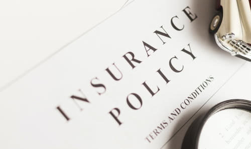 insurance policy image.  Insurance cancelled or insurance non-renewed?  Call our team today 813-425-1626
