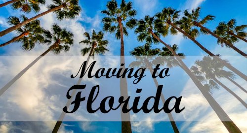 Moving to florida - Palm tree picture