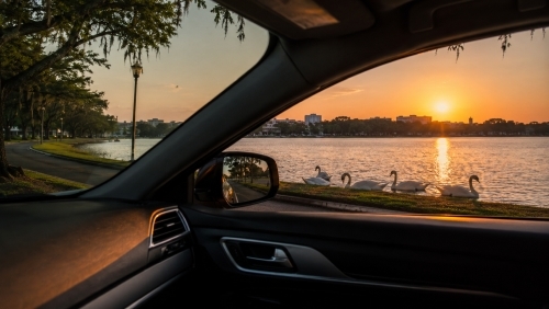 Driving along Lake Hollingsworth in Lakeland FL at sunset