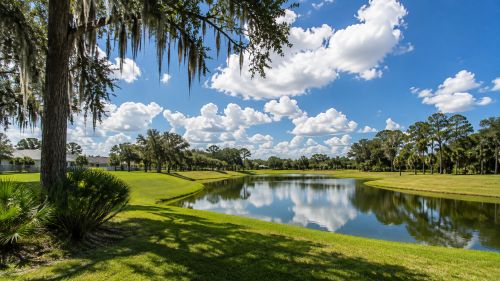 An engineered stormwater retention basin surrounded by pines and palms in inland Central Florida.