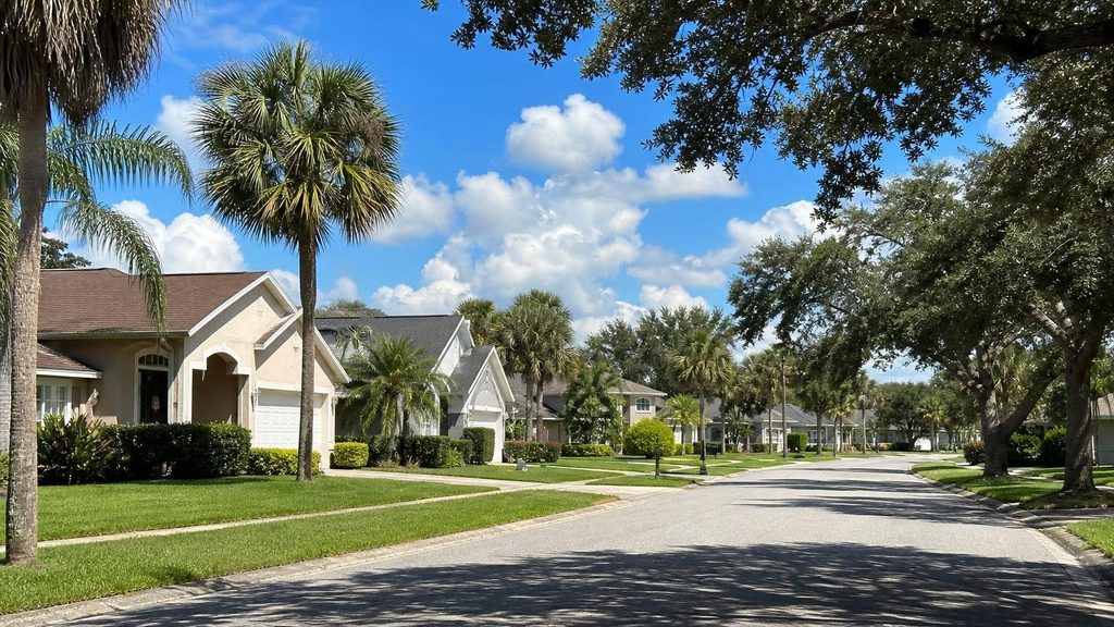 A quiet Central Florida residential street lined with stucco homes, live oaks, and sabal palms on a sunny afternoon.